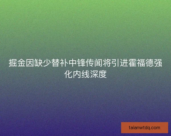 掘金因缺少替补中锋传闻将引进霍福德强化内线深度