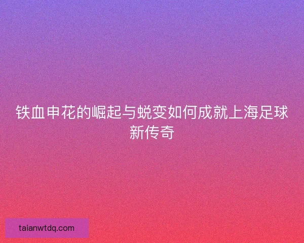 铁血申花的崛起与蜕变如何成就上海足球新传奇