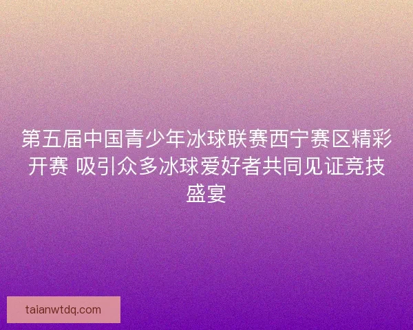 第五届中国青少年冰球联赛西宁赛区精彩开赛 吸引众多冰球爱好者共同见证竞技盛宴