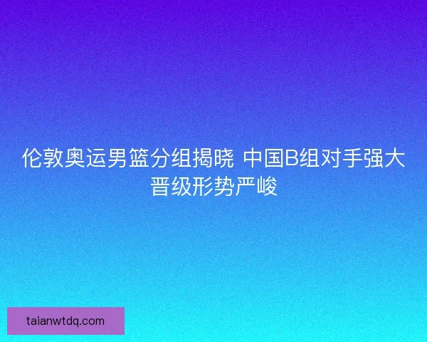 伦敦奥运男篮分组揭晓 中国B组对手强大晋级形势严峻